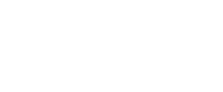 bizball